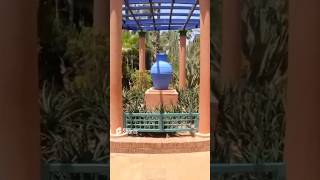 YVES SAINT LAURENT JARDIN MAJORELLE MARRAKECH | GARDEN IN MARRAKECH YSL GARDEN IN AFRICA