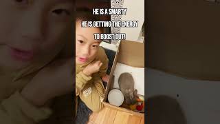 🐇Rabbit Hopping Out Of Amazon Box #kidsfun #pets #funny #adventurous