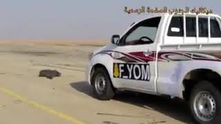 Toyota Hilux 2700vvt-i♥️♥️