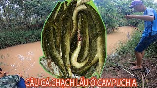 Sinh tồn và câu cá chạch lấu tại Campuchia