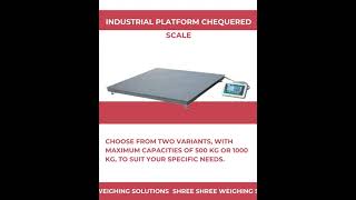 Industrial Platform Scale