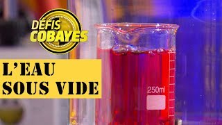 Comment varie la température de l'eau sous vide ? - Défis Cobayes - France 4