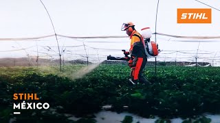 STIHL MÉXICO