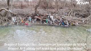 Brașovul Ecologic - Pârâul Ghimbășel!