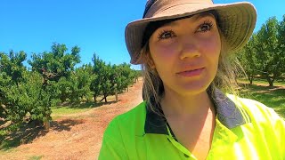 Australia | HOW TO DISTURB | Daily Vlog 343# | ByIri.