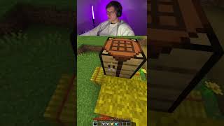 Minecraft secret 202% #minecraft