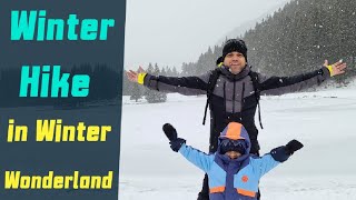 Swiss Winter Hike in Winter Wonderland #winterhike #switzerland #frozen