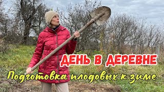 Жизнь в деревне | Новый саженец | Осень 2023 | КУПИЛИ ДОМ В ДЕРЕВНЕ