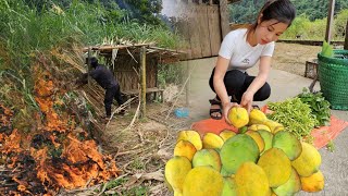 The girl's shelter was destroyed by a villain while she was selling papayas.