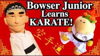 SML reupload Bowser Jr learns Karate