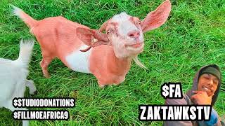 ZAKTAWKSTV VISITS HIS ZODIAC ANIMAL (GOAT) ♑ + FLYS DRONE + EXCELLENT SCENERY 🌍🌍💯