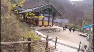 [우즈벡의 오바마, Jamshid] Wellness, Healing Korea - The Maisan Provincial Park