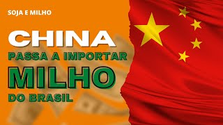 SOJA&MILHO - China passa a importar milho do Brasil