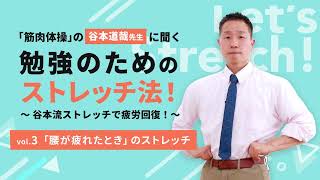 「筋肉体操」の谷本道哉先生に聞く勉強のためのストレッチ法！vol.3「腰が疲れたときに行うストレッチ」