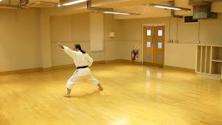 Karate Basics - Soto Uke - Enpi Uchi - Uraken - Gyaku Zuki - Gedan Barai