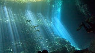 Scuba Diving in the clear water of Cenote Eden, Quintana Roo, Mexico