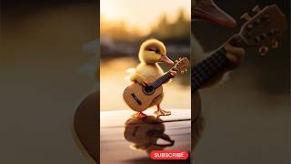 CUTE DUCK MUSICIAN VIDEOS? Watch This Now!