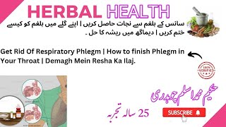 Get Rid Of Respiratory Phlegm | How to finish Phlegm in Your Throat | Demagh Mein Resha Ka Ilaj