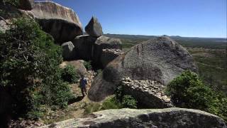 SHORELINE - GREAT ZIMBABWE