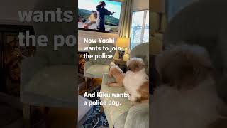 Hudson & Rex" Police Dog Dreams w Shih Tzu & Toy Poodle