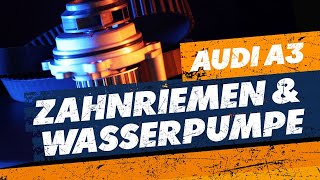 Wasserpumpe mit Zahnriemen wechseln - Audi A3 1,6l [TUTORIAL]