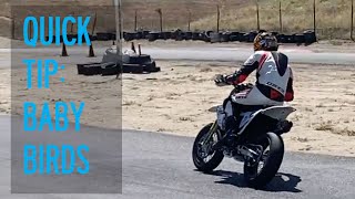 Socal Supermoto Quick Tip: Baby Birds!!