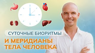 Суточные биоритмы и меридианы тела человека. ПРЯМАЯ ТРАНСЛЯЦИЯ 02.05 в 10:00 мск