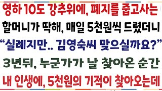 (반전신청사연)영하10도 강추위에 폐지를 줍고 사는 할머니가 딱해 매일 5천원씩 드렸더니 실례지만..김영숙씨 맞으실까요" 3년후 누군가가 날 찾은[신청사연][사이다썰][사연라디오]