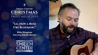 Twelve Days of Light | Mike Mangione featuring Patrick Hoctor: “Lo, How a Rose E’re Blooming”