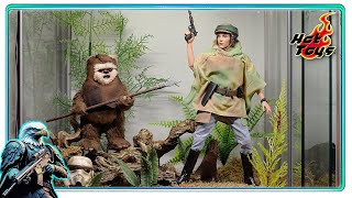 Hot Toys Princess Leia and Wicket, Star Wars Endor diorama display MMS551