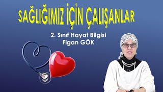 SAĞLIĞIMIZ İÇİN ÇALIŞANLAR - 2.SINIF HAYAT BİLGİSİ - EĞİTİM TOKAT TV