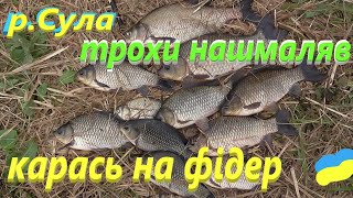 #Сула # Гарні карасі на фідер #РибачуЯкУмію