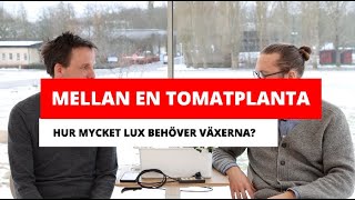 Hur mycket lux behöver växterna? | Hemmaodlat