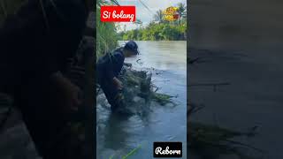 Perangkap ikan isinya Biawak #35 #shorts #kookiko