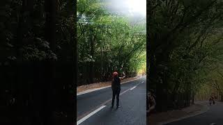 Almeida Man Made Forest La Union #travelvlog #roadtrip #shorts #elyu #davesibaltv #kaibigangala