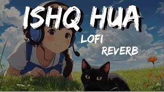 Ishq Hua  LOFI (Slowed & Reverb) || Aaja Nachle || Music Pulse