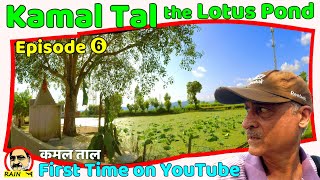 KAMAL TAL the LOTUS POND at Ban, Nagrota | कमल ताल a Hidden Place in #Jammu | First Time on YouTube