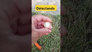 Detectorismo  com Pimponter  na praça