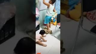 Khi Nhí ở nhà #shorts #funny