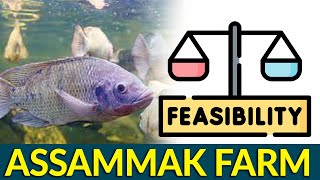 Feasibility of Biofloc Fish Farm by Assammak Farm