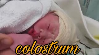 Breastfeeding: Colostrum Benefits