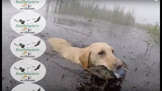 Alabama Waterfowl Hunting - Bluewing Teal Season - Sep 2017