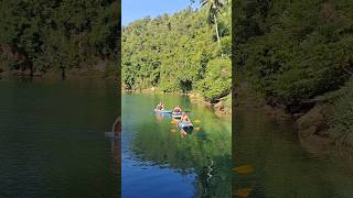 river therapy: nature's best remedy 🍃