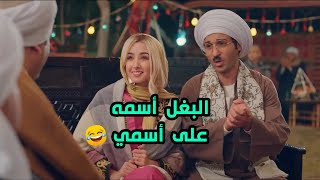 الواد سيد الشحات - بغل أسمه سيد على أسمي.. كمل يا عم سكر الحدوتة الجميلة دي😂