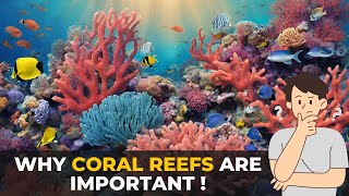 Why Are Coral Reefs Important | Coral Reef | The Planet Voice