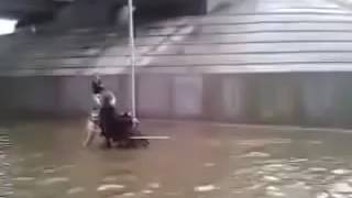 Perro salva a persona en silla de ruedas en inundación