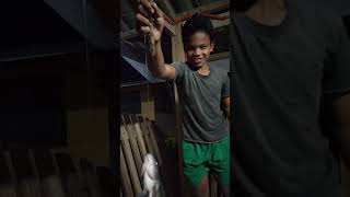 huli ka balbon happy fish keeping