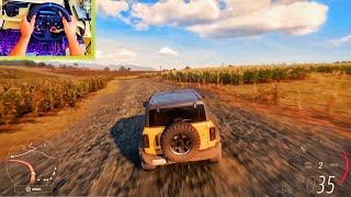 ANDANDO PELA ESTRADA DO MÉXICO FORZA HORIZON 5 *Volante Logitech G29*