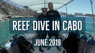 Scuba Diving in Cabo June  2019