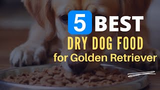 ⭕ Top 5 Best Dry Dog Food for Golden Retriever 2024 [Review and Guide]